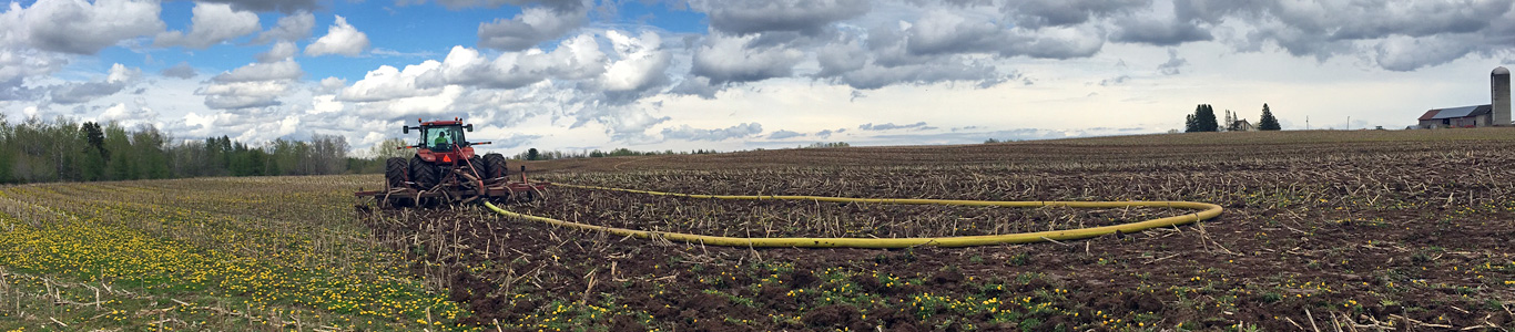 Waste sludge is recycled into biosolids for land application.